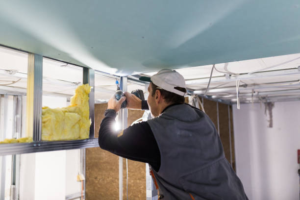 Best Residential Insulation in Thomasville, AL