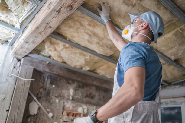 Best Insulation Maintenance and Repair in Thomasville, AL