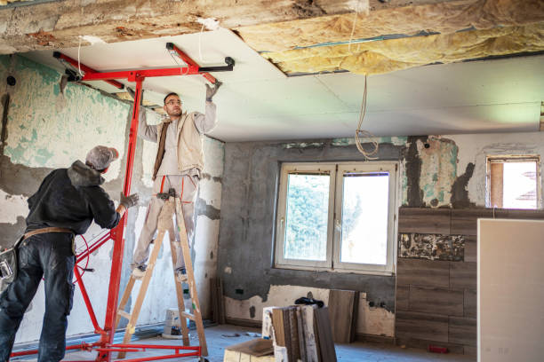 Best Residential Insulation in Thomasville, AL
