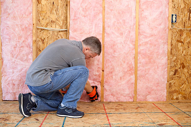 Best Insulation Installation Services in Thomasville, AL